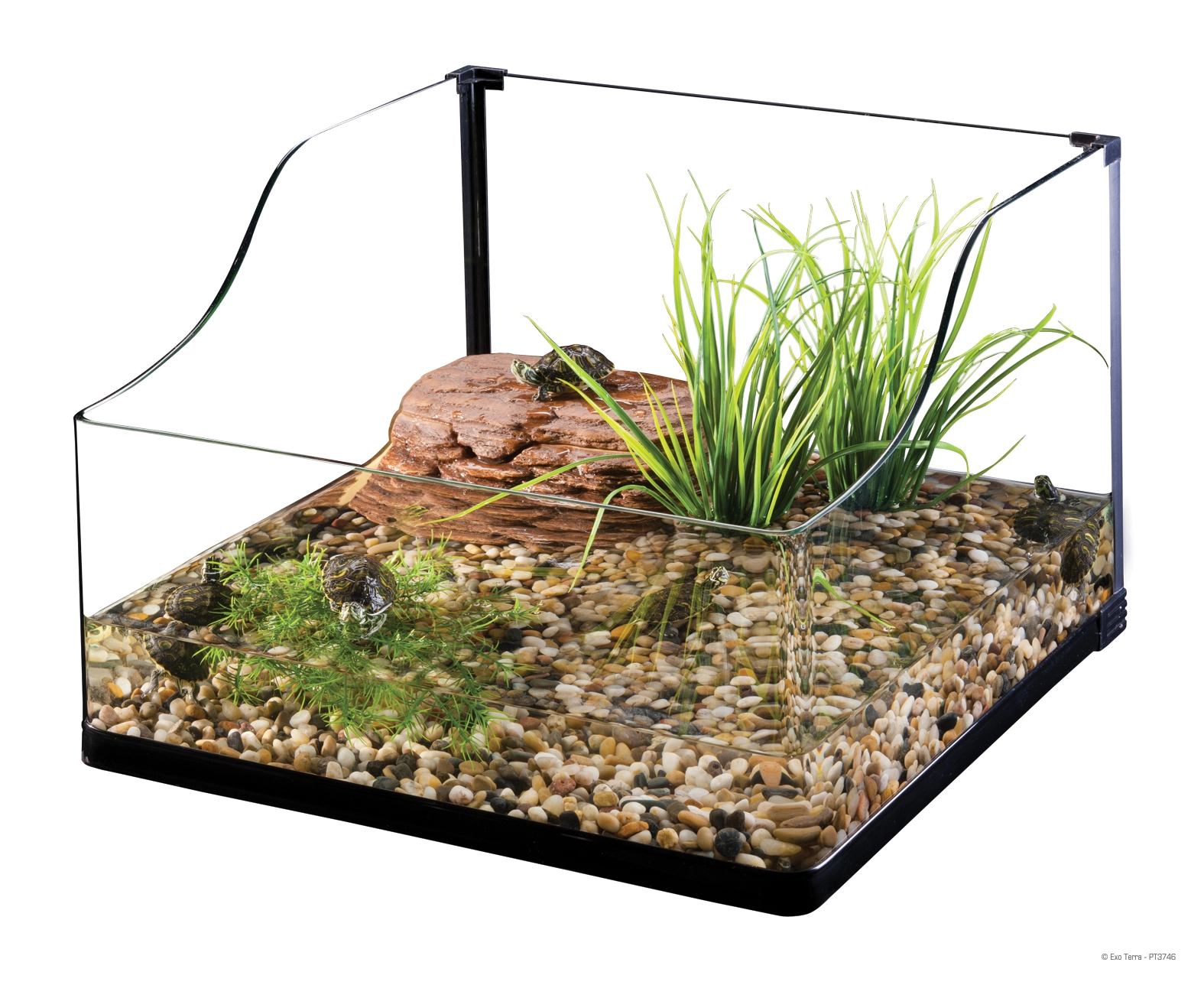 Exo Terra Turtle Grass